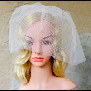(NWOT) Birdcage Veil